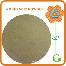 80% Free Amino Acid Without Chloride/Salt Qfg AA80